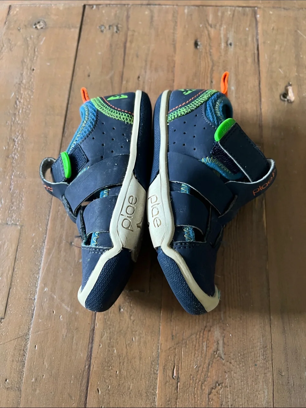 PLAE blue green